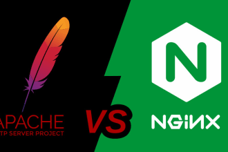 provide expert apache and nginx deployment services