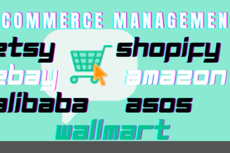 ecommerce promotion, management, shopify store, wallmart etsy, asos amazon, ebay