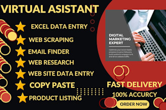 do excel , data entry, copy paste, pdf to excel