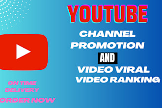 do youtube channel promotion seo in USA and video viral
