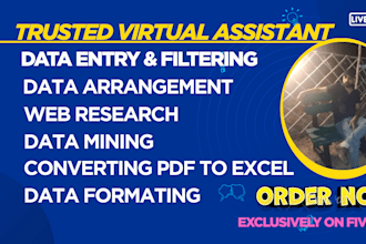 do data entry, web research, convert pdf to word, data entry