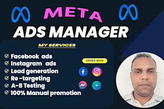 set up and optimize facebook and instagram ads campaign