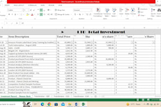 deliver precision data entry and excel wizardry for your projects