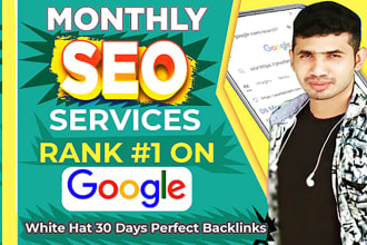 provide monthly off page SEO service to rank your website