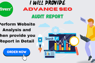 provide expert SEO audit reports competitor website analysis