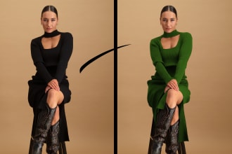 do professional color correction and color of anything