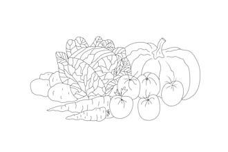 draw realistic plants, vegetables, fruits