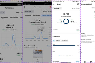 be your instagram facebook tiktok manager plus bonus