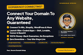 connect domain name with website or ai project asap