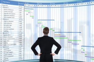 manage your project, team, app or website development