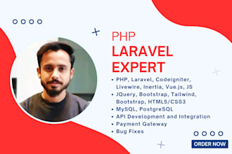 develop php laravel and wordpress website