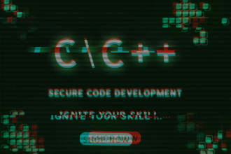 provide secure code development and vulnerability analysis services