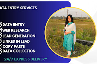 do data entry,web research,copy paste,lead generation,file conversion,expart