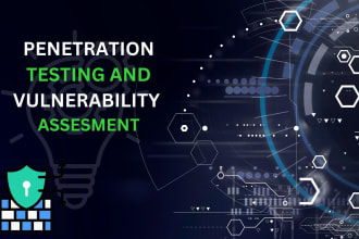 do website penetration test, vulnerability test with professional report