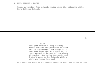write your screenplay movie script or book adaptation into script
