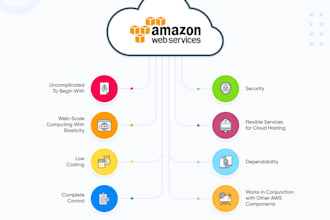 develop application,software,scripts in AWS for you