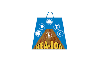 design lovely extremely good bag logo