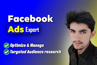 run meta facebook ads campaign, fb, marketing and retargeting ads meta ads,