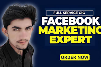 run facebook ads campaign, and meta ads campaign, manager retargeting ads
