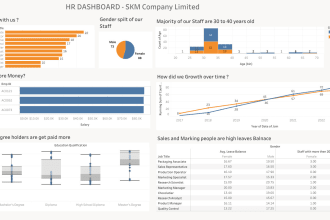 be your expert data analyst and dashboard specialist tableau ms power bi  excel