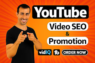 do professional youtube seo and video  promotion  expert