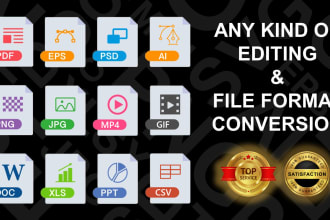convert format fix create microsoft word PPT excel ai eps image psd PDF document