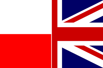 translate english to polish or polish to english, manually and proofread