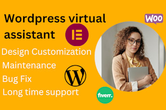be your wordpress virtual assistant to maintain,fix wordpress issue