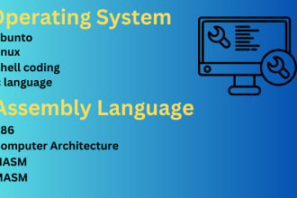 do operating system and assembly language task and projects