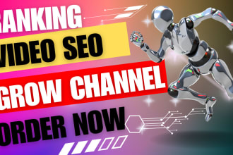 video seo optimize  for top ranking youtube