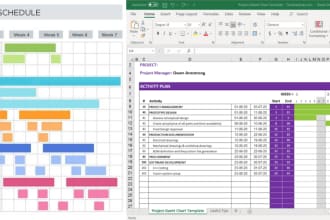 do project management assignment using microsoft project and make gantt chart