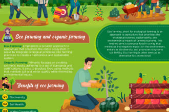 design creative infographics, flowcharts, pie charts and diagrams