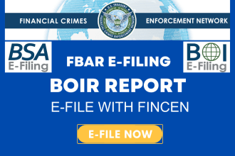prepare and efile boi report fbar report with fincen