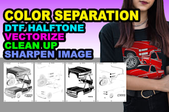clean up, vectorize, sharpen image, make color separation for screen printing