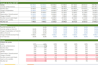 perfom financial and credit analysis