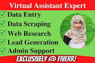 be your VA for excel data entry, web research, lead generation and data scraping