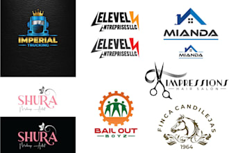 create high quality logo for you