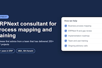 be your erpnext consultant for process mapping and team training