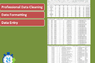 do excel data cleaning, data entry, formatting in 24 hours