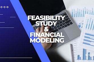 develop feasibility study, business plans and pitch deck