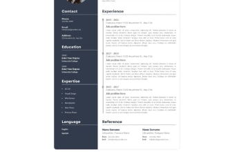 provide my professional CV template