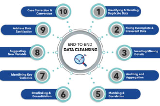 do excel data cleaning, duplicate removal, data formatting, formula cleanup, etc