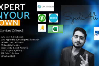 do professional data enrichment, missing data collection, and data entry