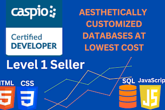 design, customize, deploy and update your caspio application