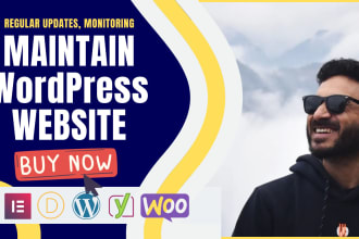 provide maintenance and support for your wordpress website