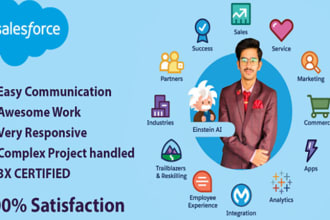 be your salesforce admin for reports and dashboard and automation