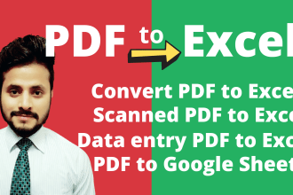 do data cleaning, PDF to excel and beyond, convert, extract and refine your data