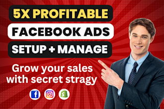 setup shopify facebook ads campaign, instagram ads, meta fb ads campaign
