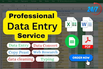 data entry, excel data entry, ms word, copy paste, type retype, convert cleaning