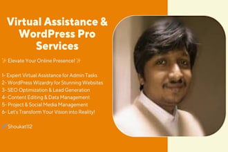 be virtual assistant and wordpress pro